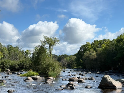  Writing the Wolf — A Place-Based Writing Project & Community Anthology