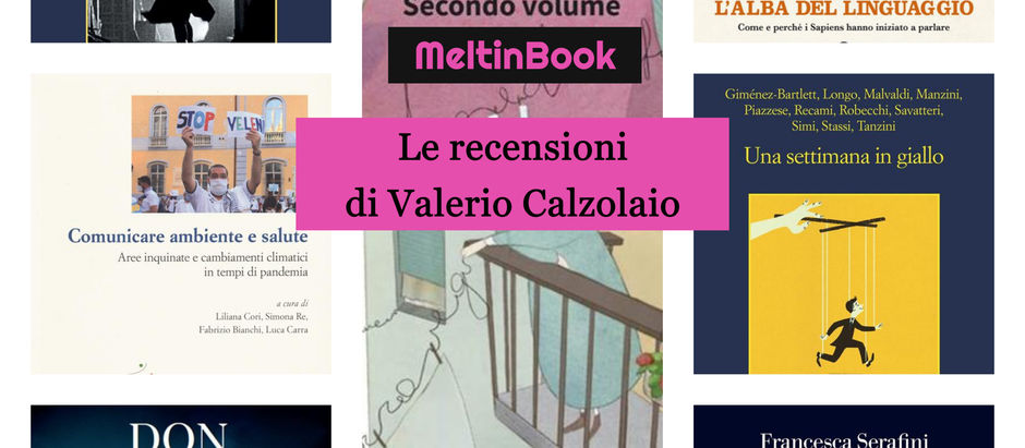 Le recensioni di Valerio Calzolaio