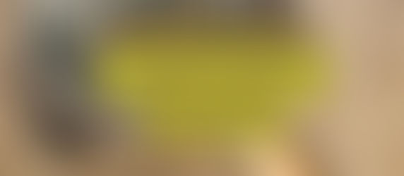 CRONACHE DI UN ORDINARIO GIALLO PROVINCIALE