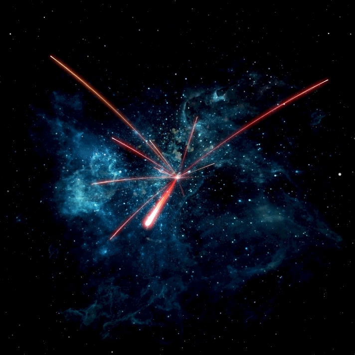 11.gif
