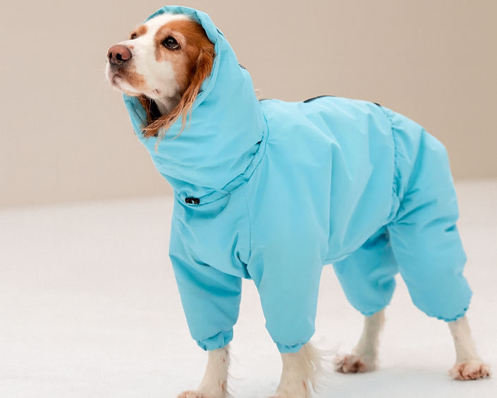 Baltic Winds Coat_edited.jpg