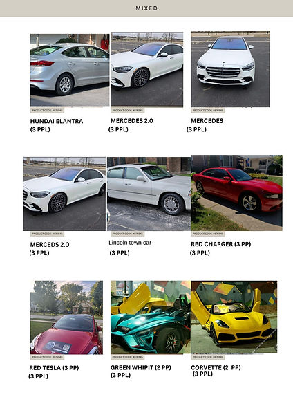 White Beige Modern Product Guide Home Furniture Catalogue A4 Document - 4 (1).jpg