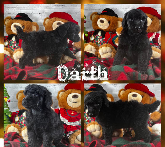 Darth1.jpg