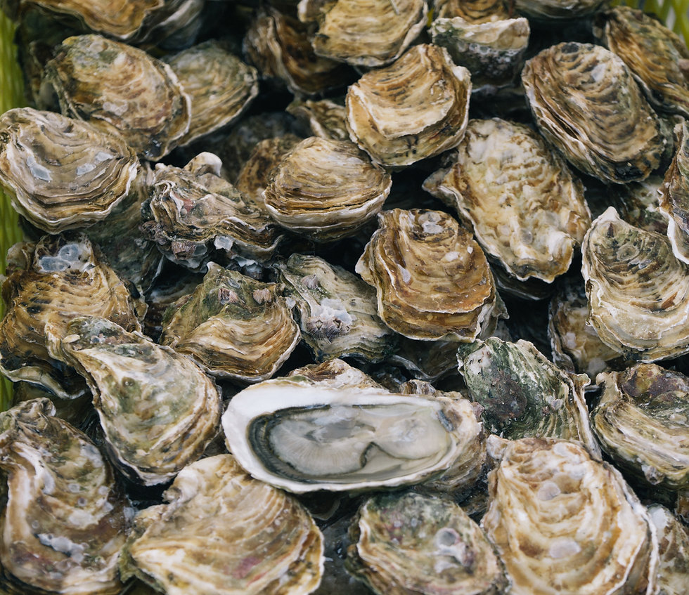 ben-stern-4n96lyJd2Xs-unsplash.jpeg
