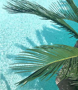Red Earth Massage and Wellness. 438 Hobron Lane, Suite 211 Honolulu, HI 96815 | Hawaii ocean 
