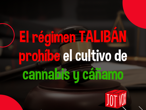 Cannabis por el mundo; Afganistán. El régimen talibán prohÃbe el cultivo de cannabis y cáñamo.