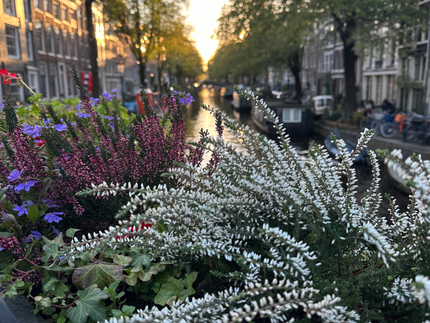 canal amsterdam ilana lamstein