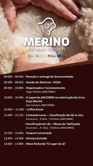 Workshop de Lãs 100% Merino