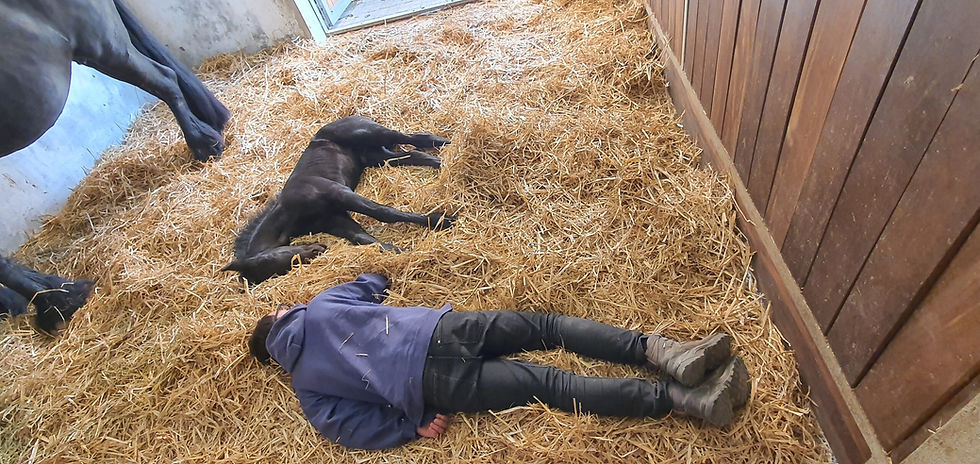 Miniature : Percy de la Fretaire