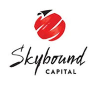 skybound_capital_uk_ltd_logo.jpeg