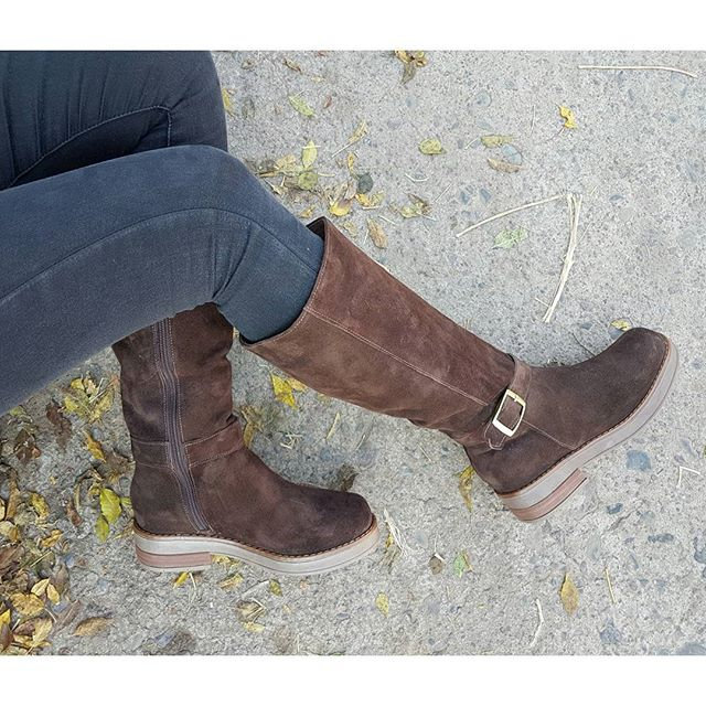 Bota Zappa Aurelia Café Moro - Compra Ahora | Dafiti Chile