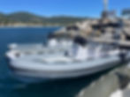 IMG_2929.jpeg
