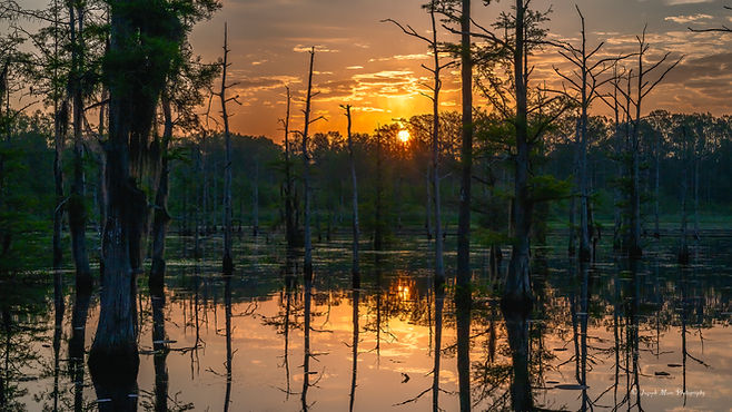 Louisiana_Black Bayou Lake 2-13-clear.jpg