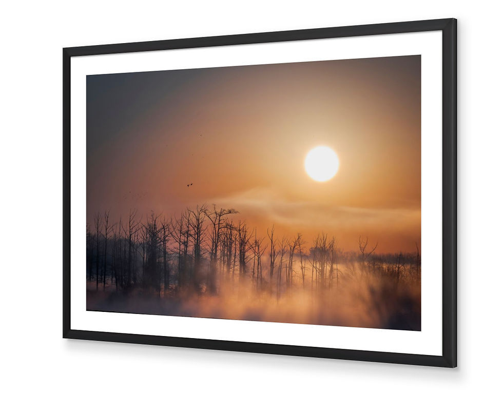 Thumbnail: Misty Morning Sunrise