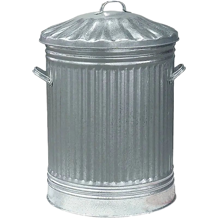 BIN 2_edited.png