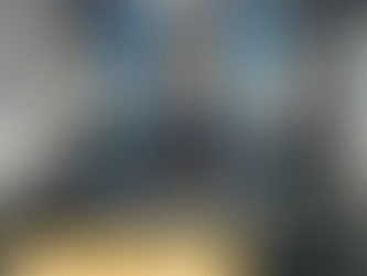 Client Spotlight: Bonnie Fineman