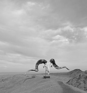 SchermÂafbeelding 2026-02-14 om 14.26_edited.jpg