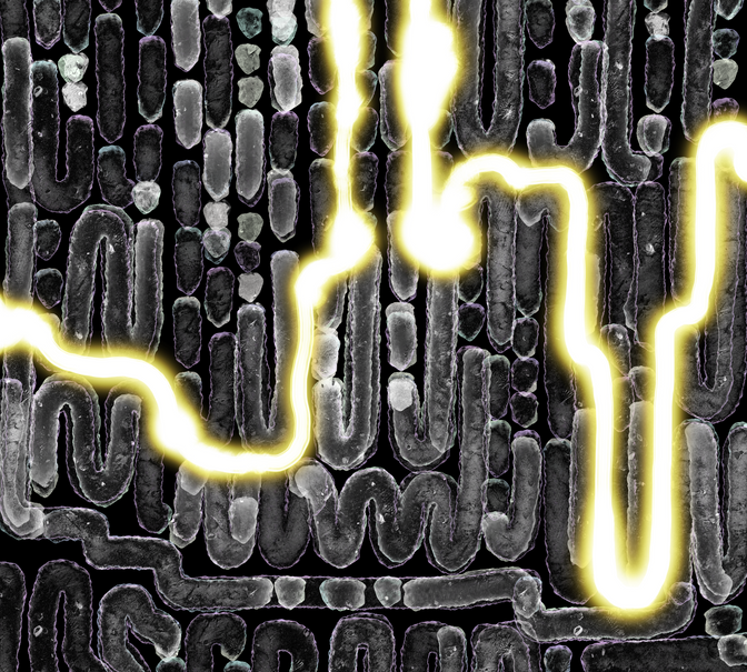 IMG_021.png