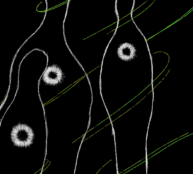 IMG_015.png