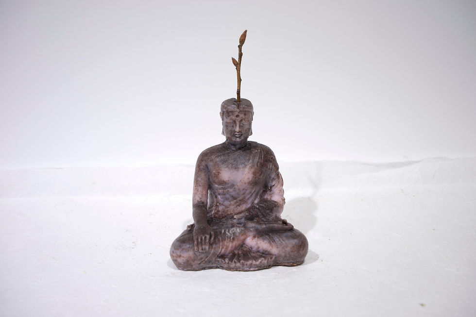 Buddha contemplation series