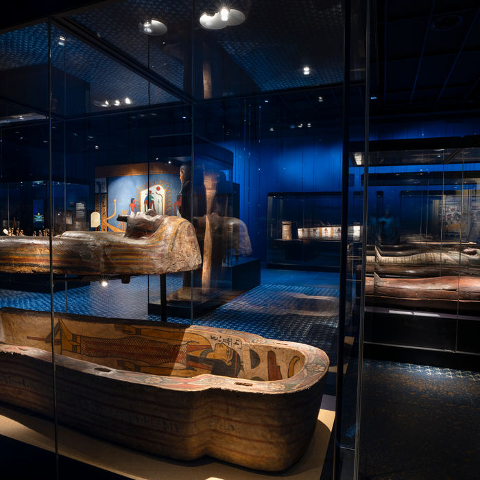 Several anthropoid wooden sarcophagi in glass display cases. In the foreground, an open sarcophagus reveals colorful painted hieroglyphs and figures on its interior, while others remain closed or partially elevated. Deep blue walls, creating an atmospheric setting for the artifacts.