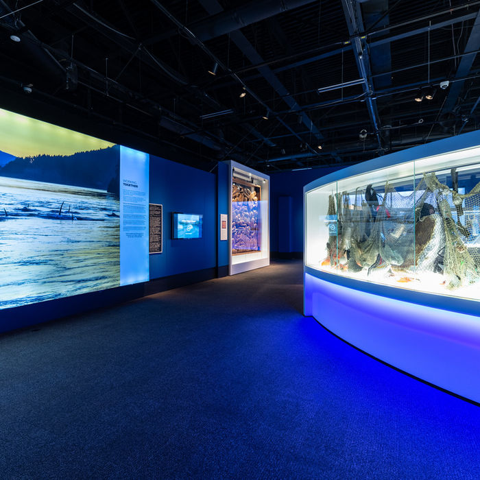 Orcas traveling exhibition – screen and showcase with marine litter