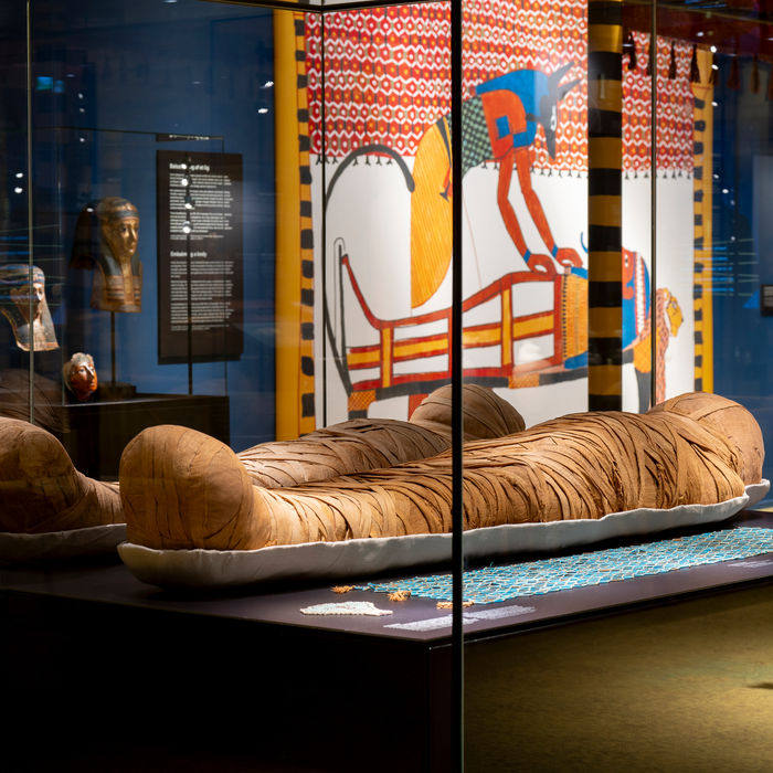 An ancient Egyptian mummy wrapped in brown linen bandages lies in a horizontal glass display case. In the background, a large, colorful illustration shows a jackal-headed Anubis tending to a mummy, and other museum artifacts like masks and jars are visible.