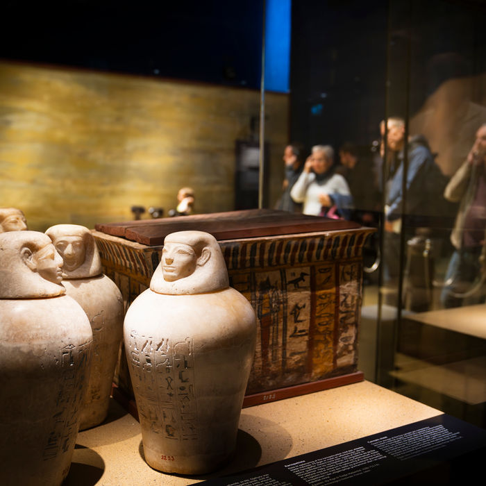 Four ancient Egyptian canopic jars with human-headed lids standing in front of a decorated wooden chest in a museum display. Museum visitors are visible through a glass partition in the background.