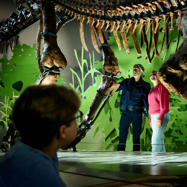 MuseumsPartner | The March of Triceratops