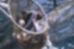 line_oa_chat_250121_095950_group_5.jpg