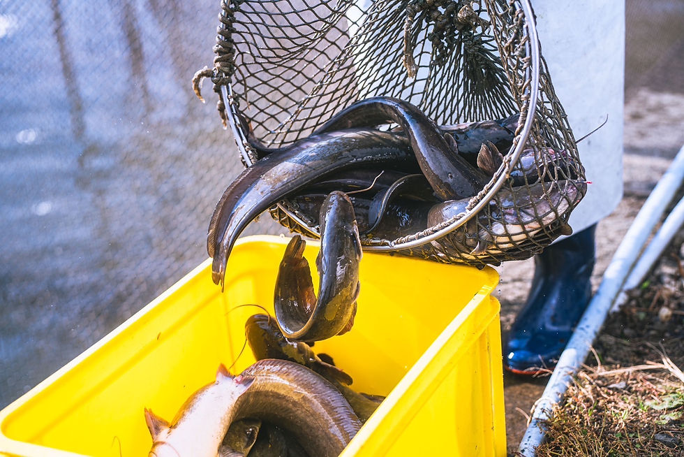 年末年始休業のお知らせ