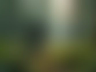 Enhance Projects with Accurate LiDAR and 3D Modeling