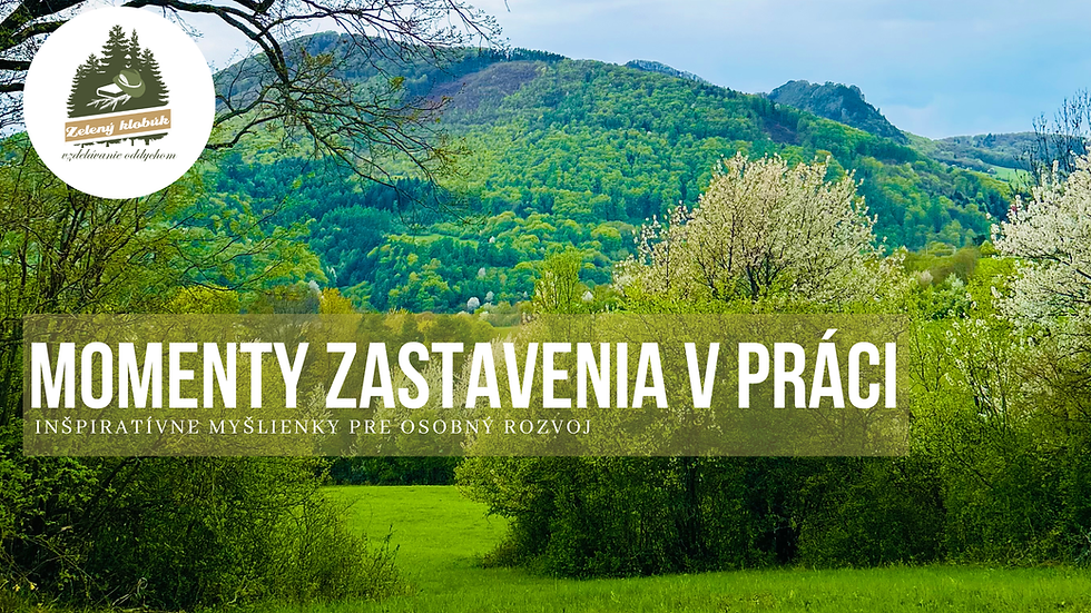 MOMENTY ZASTAVENIA V PRÁCI