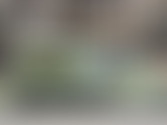 Prada Beauty  Prada Paradoxe Virtual Flower Market and Immersive Pop-Up, New York.