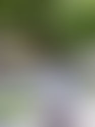 L'Occitane en Provence Holiday Garden Pop-Up Event, Yongfu Road Shanghai China.