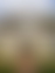 Rolex Boutique Opening, East Hampton New York.