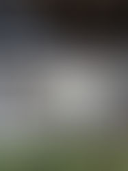 A Bathing Ape Bape Café Taikoo Li Mall Space, Shanghai.