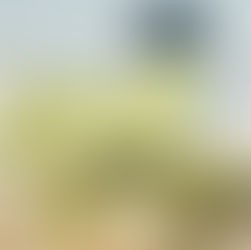 Nespresso La Plage Festival de Cannes Activation, France.