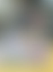 Gucci Flora Dream Garden Pop-Up Space, Guangzhou Tianhe City China.