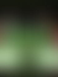 Kate Spade Brand Experience Pop-Up Space, DT51 Beijing China.