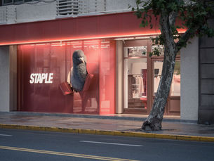 The Urban Messenger: How STAPLE Pigeon Navigates Cultural Translation in Shanghai