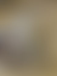 The Art of the "Slow Drop": Why Level Shoes x New Balance Chose a Bakery Over a Boutique