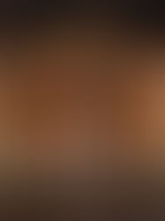 Digital Botany: How Hermès and Wang & Söderström Are Humanising High-Tech Craft