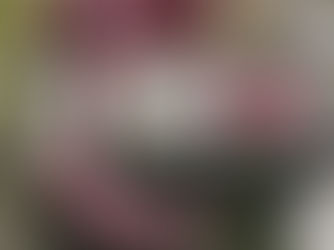 The Gravity of Levity: How Moncler is Reclaiming Summer through "Puffy" Surrealism