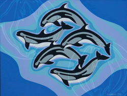 Pacific White Sided Dolphins