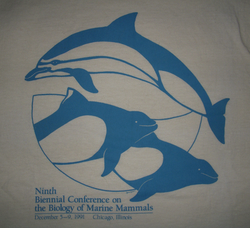 Dolphins T-shirt