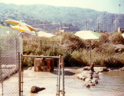 Rehabilitation enclosure