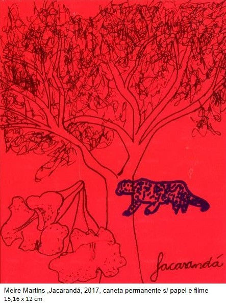 Jacarandá - 2017
