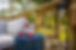 66c745070f03c73c2824cb54.jpeg