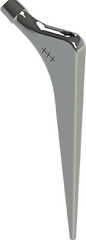 3cemented stem.png